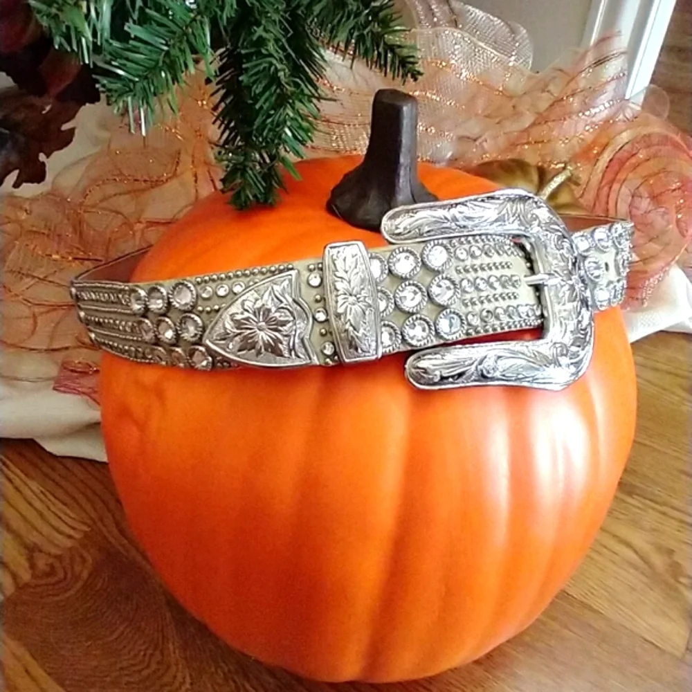 SOLD!!!!!!!!Kippy's Swarovski Crystal Rhinestone Champagne leather Authentic - Picture 2 of 12